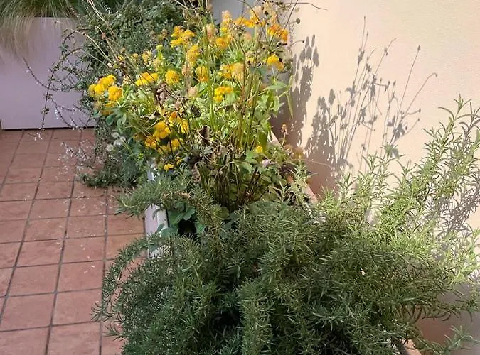 La Terrazza Sull'arena Verona