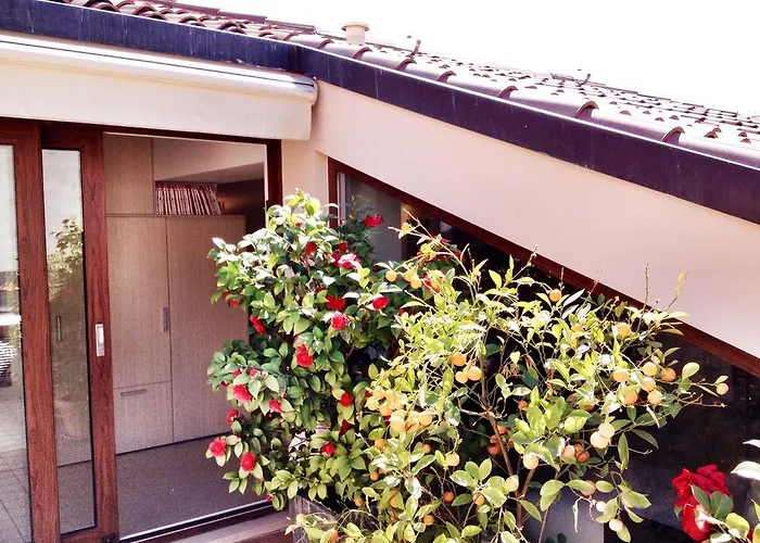 特拉泽索尔阿瑞纳酒店