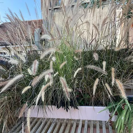 Lägenhet La Terrazza Sull'arena *